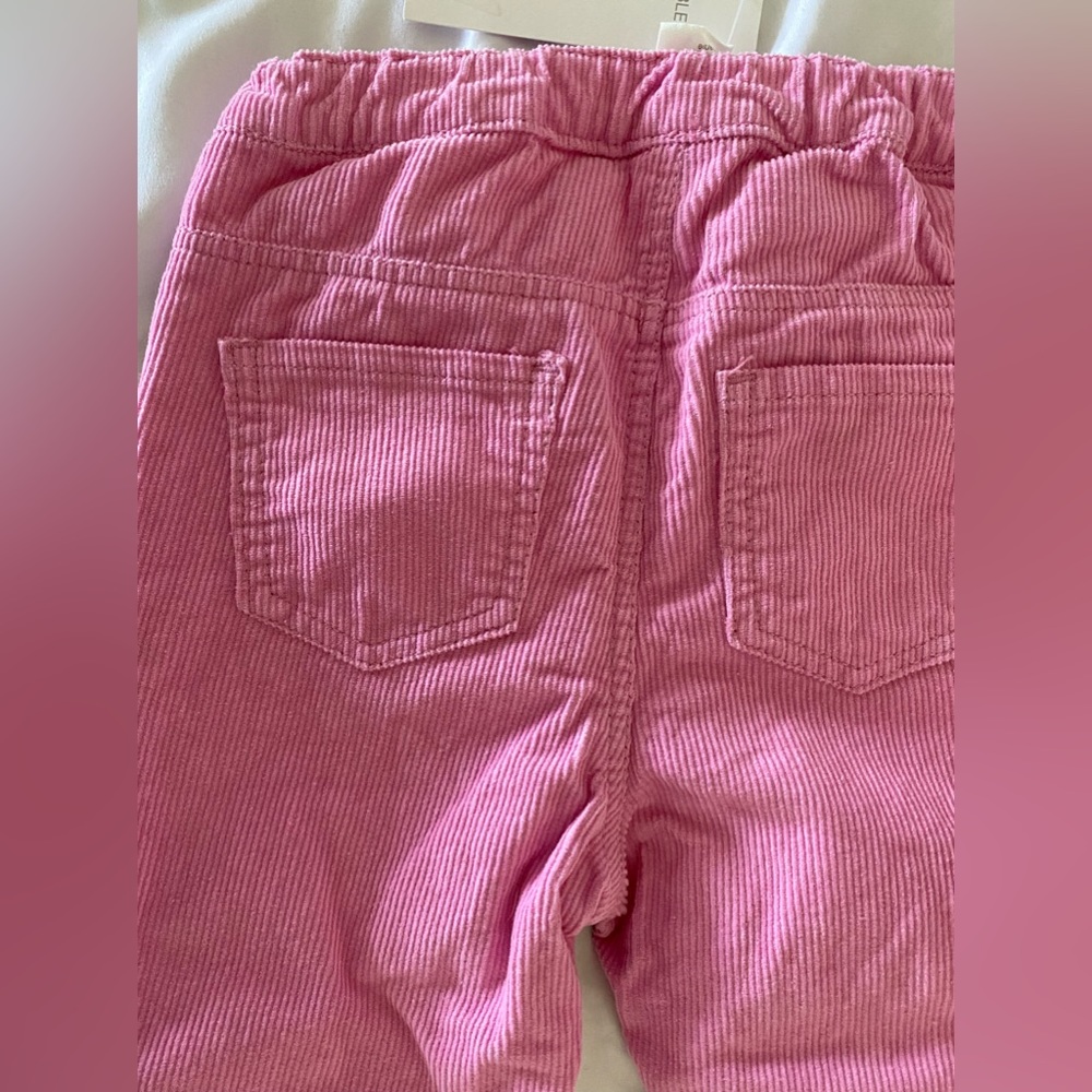 H&M Pink Corduroy Pants